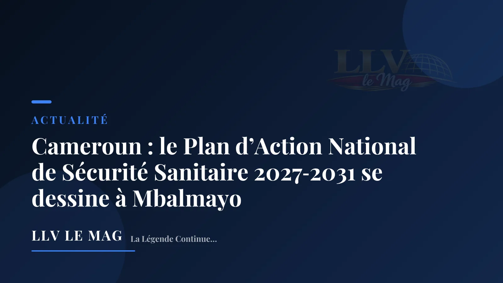 Editorial illustration for Cameroon: The National Action Plan for Health Security 2027‑2031 Takes Shape in Mbalmayo