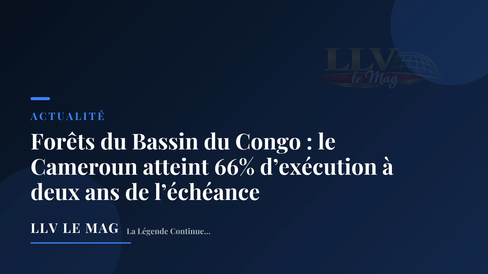 Forêts du Bassin du Congo : le Cameroun atteint 66% d’exécution à deux ans de l’échéance