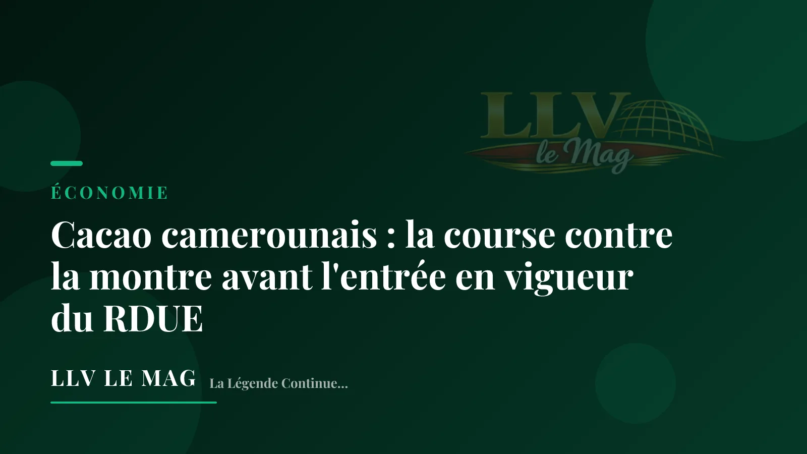 Illustration éditoriale pour Cacao camerounais : la course contre la montre avant l'entrée en vigueur du RDUE